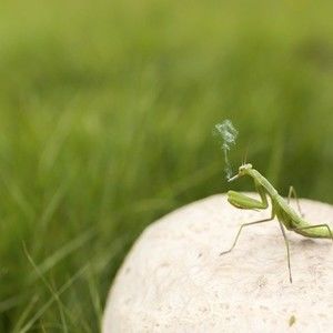 Meet your Posher, Kerri